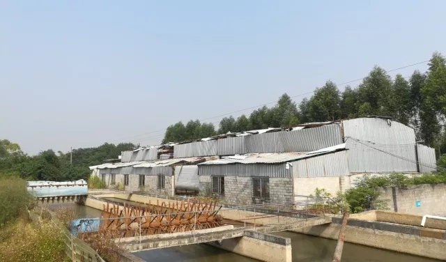 5a375f3f15c47.jpg 下載.webp (1).jpg