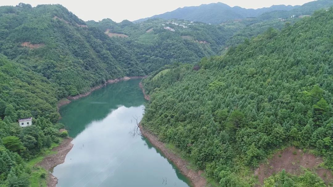 5b6162fc29b38.jpg 10.jpg