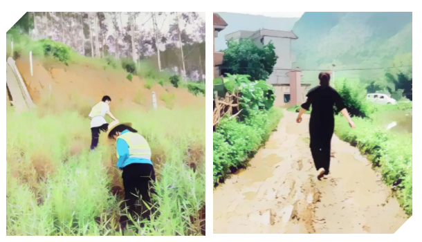 611f5460eaff0.png QQ截圖20210820151730.png