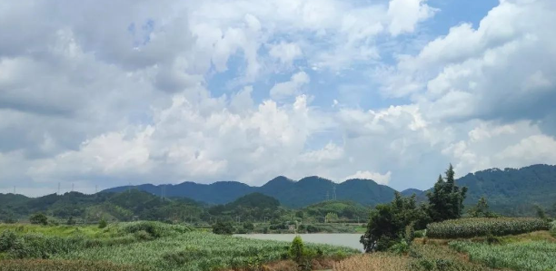 63ef3d431af79.png 1.png